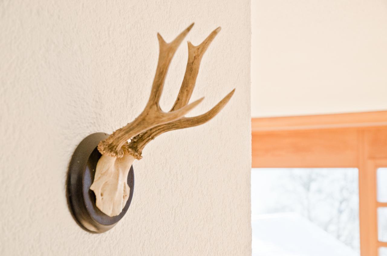 Apartment Matterhorn - Griwa Rent Ag Grindelwald Eksteriør billede